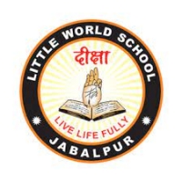 Little World School